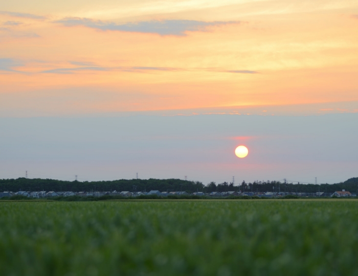 自然が美しく、四季がはっきり感じられる町です