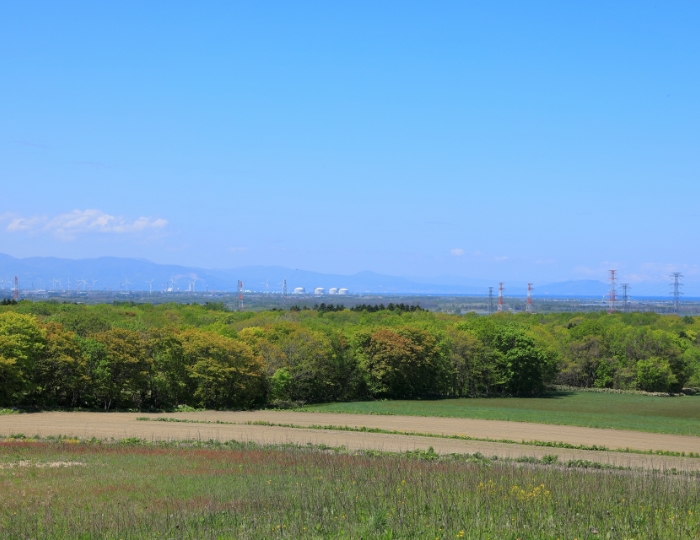 北欧の雰囲気を感じられる風景があります