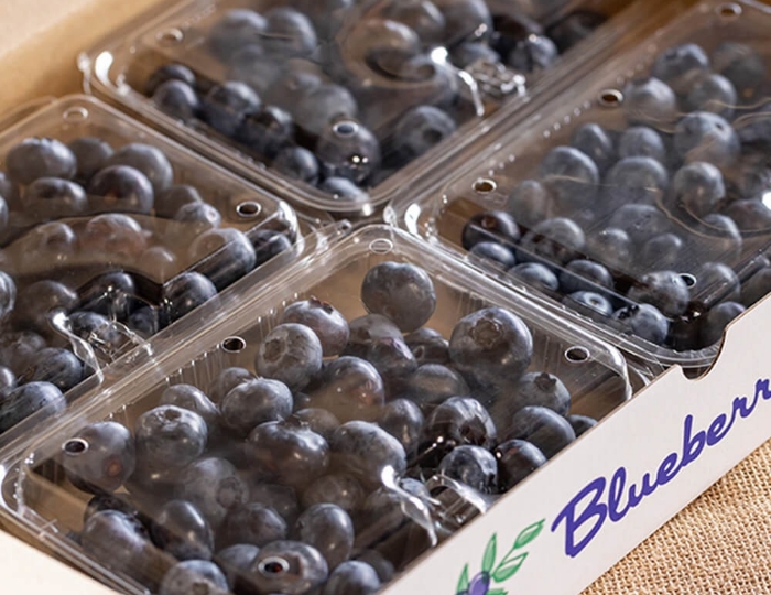 鮮度そのまま発送