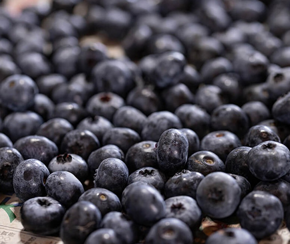 収穫したての新鮮な実