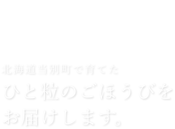 北海道当別町で育てたひと粒のごほうびをお届けします。